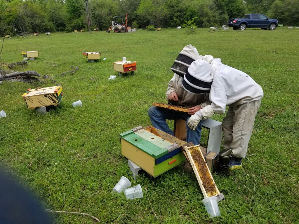 Grandpa and grandson picking queens
